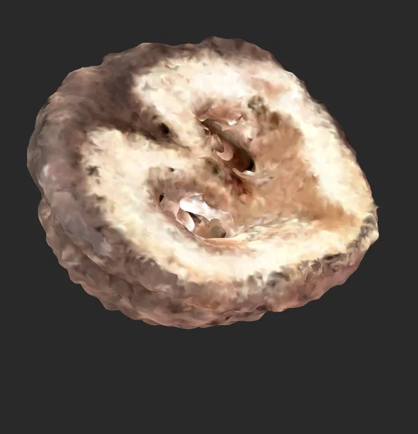 Bản quét 3D quả óc chó (Walnut 3D Scan) - Image 2