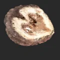 Bản quét 3D quả óc chó (Walnut 3D Scan) - Thumbnail 2