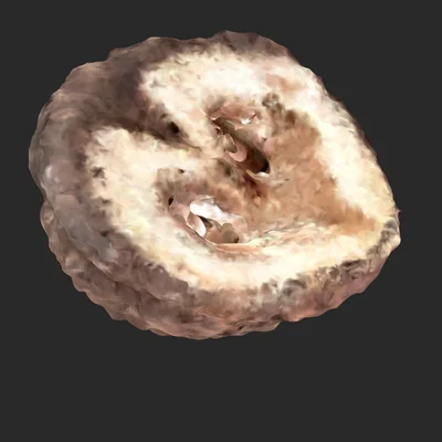 Bản quét 3D quả óc chó (Walnut 3D Scan)