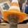 Quei89_549069