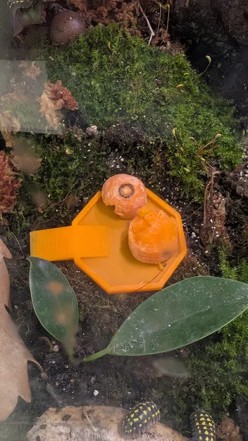 Khay thức ăn in 3D tiện lợi cho Isopod và thú cưng nhỏ - Image 3