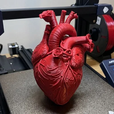 Mô hình trái tim hoa hồng 3D Floral Heart đầy tính nghệ thuật