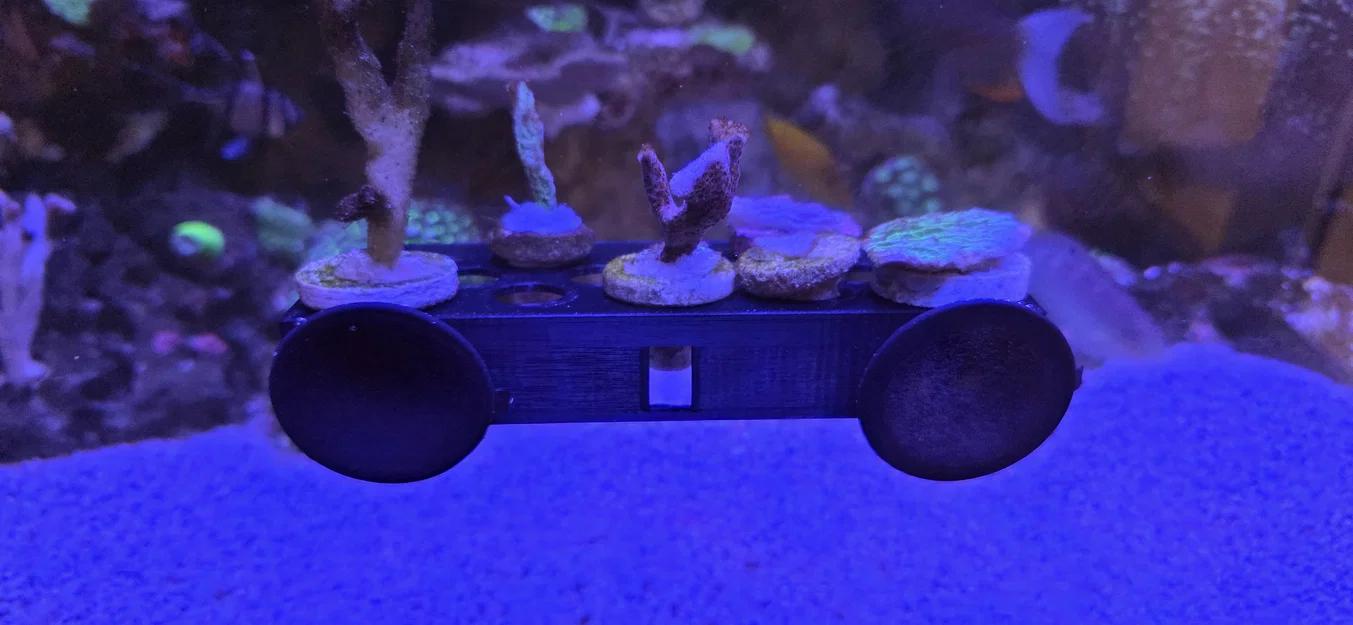 Giá Đỡ Frag (Frag Rack) Nhỏ Gọn - Image 2
