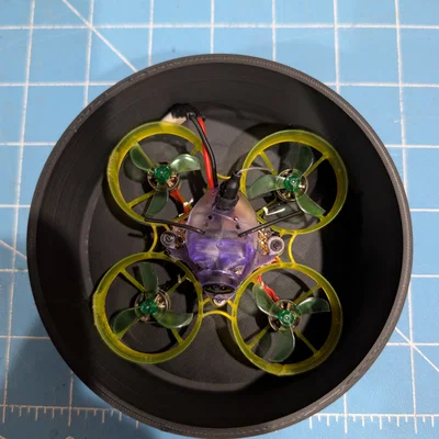 Hộp Đựng 65mm Whoop (65mm Whoop Case)