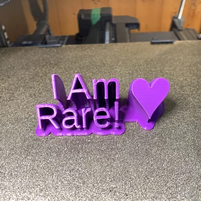 Mô hình 3D I Am Rare! - Món quà ý nghĩa cho ngày Tăng áp phổi
