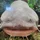teddy_1718616