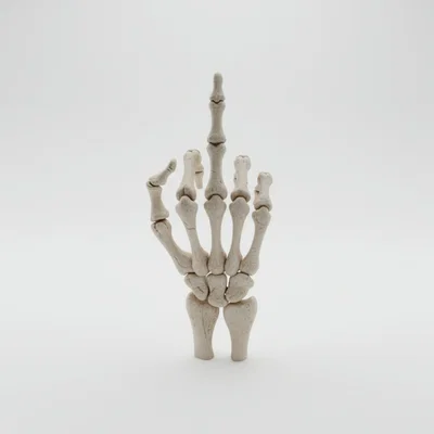 Mô hình bàn tay xương giơ ngón giữa (Skeleton Hand) - Đồ trang trí cực chất