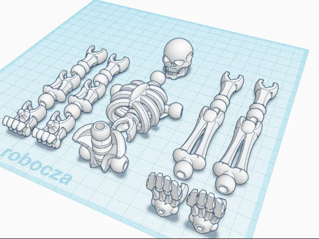 Mô hình bộ xương khớp nối Articulated Skeleton in 3D độc đáo - Image 1