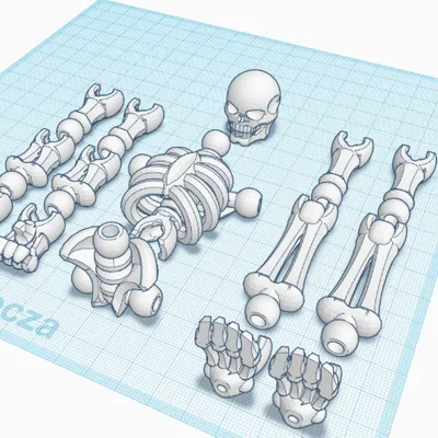 Mô hình bộ xương khớp nối Articulated Skeleton in 3D độc đáo