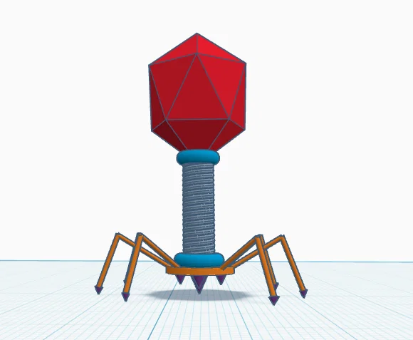 Mô hình 3D thực khuẩn thể (Bacteriophage) cho dự án khoa học - Image 1