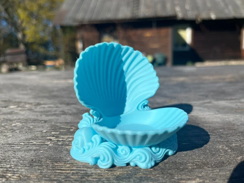 Khay đựng trang sức vỏ sò Trinket Shell in 3D độc đáo - Image 2