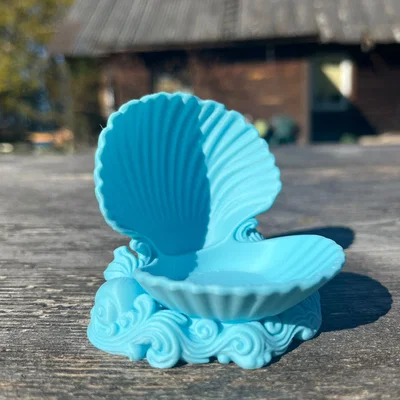 Khay đựng trang sức vỏ sò Trinket Shell in 3D độc đáo