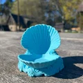 Khay đựng trang sức vỏ sò Trinket Shell in 3D độc đáo - Thumbnail 3