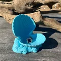 Khay đựng trang sức vỏ sò Trinket Shell in 3D độc đáo - Thumbnail 5