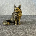 Mô hình chú mèo Maine Coon đáng yêu - Thumbnail 2