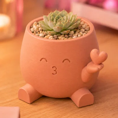 Chậu Trồng Cây Trái Tim Hôn Nhau - Đồ Trang Trí Kawaii Đáng Yêu