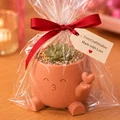 Chậu Trồng Cây Trái Tim Hôn Nhau - Đồ Trang Trí Kawaii Đáng Yêu - Thumbnail 3