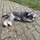 atomicalex_1483478