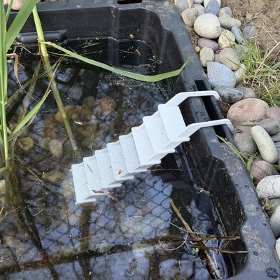 Thang cho ếch tại ao vườn (Frog Pond Ladder)