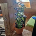 Khung Đỡ Cây Hiện Đại - Thumbnail 3