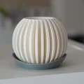 Chậu cây Lumen - Chậu cầu gân kèm đĩa lót | Trang trí phong cách Japandi, Bắc Âu - Thumbnail 7