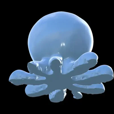 Mô hình Bluberini Octopusini