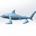 Mô hình 3D cá mập Trallalero Trallallà - Thumbnail 5