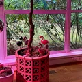 Ốp chậu cây phong cách Mid-century (Dollar Tree Planter Cover) - Thumbnail 7