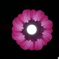 Chao đèn Helezon Lamp Shade - Thumbnail 4
