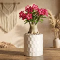 Hũ đựng đồ Modern Dotted White tinh tế - Thumbnail 1