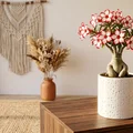 Hũ Đựng Đồ Có Nắp Họa Tiết Vết Lõm Màu Trắng - Thumbnail 1