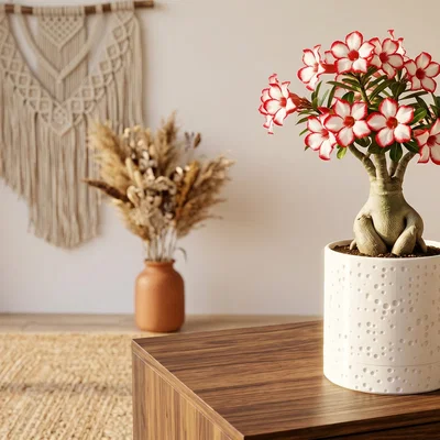 Hũ Đựng Đồ Có Nắp Họa Tiết Vết Lõm Màu Trắng