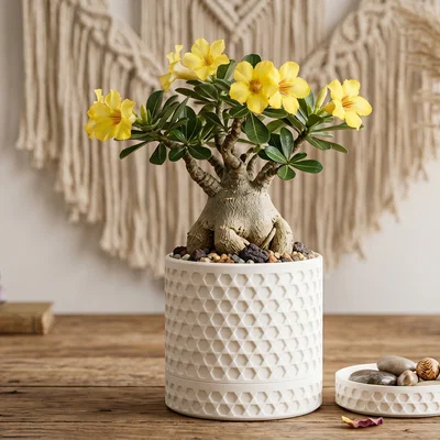 Hũ Đựng Đồ Họa Tiết Lưới Lục Giác Màu Trắng