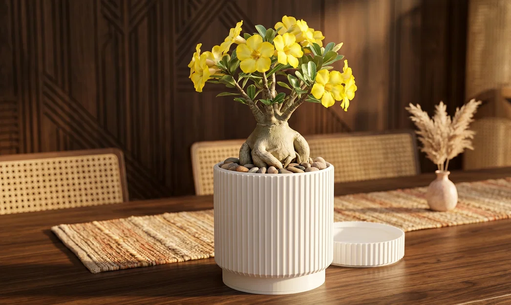 Lọ Đựng Đồ Modern Fluted Màu Trắng Sang Trọng - Image 1