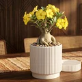 Lọ Đựng Đồ Modern Fluted Màu Trắng Sang Trọng - Thumbnail 1