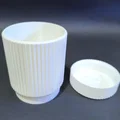 Lọ Đựng Đồ Modern Fluted Màu Trắng Sang Trọng - Thumbnail 2