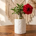 Hũ Đựng Đồ Hình Học Màu Trắng (White Geometric Block Storage Jar) - Thumbnail 1
