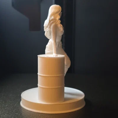 Mô hình 3D nữ nhân vật tựa thùng phi cực chất