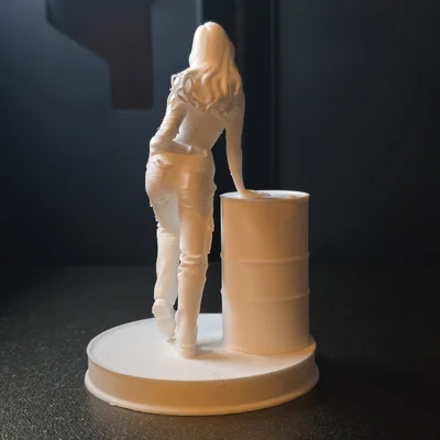 Mô hình 3D nữ nhân vật tựa thùng phi cực chất