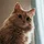 michaelpm91_732978