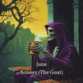 Bonesy The Robed Skelly – Mô hình bộ xương mặc áo choàng từ RetroFantasys - Thumbnail 17