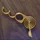 parrothd_556766