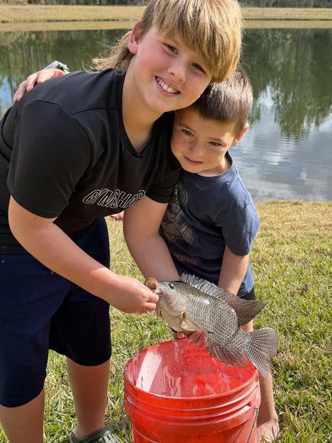 Bộ khuôn đúc mồi câu Senko (Senko Mold) tự làm tại nhà - Image 2