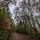 MaxD_3091779