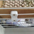 2 floor – Ngàm/kẹp giữ tầng 2 cho lồng guinea pig - Thumbnail 2
