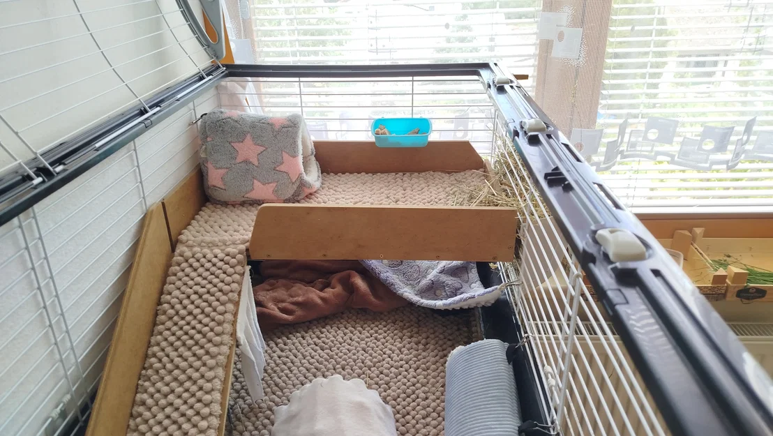 2 floor – Ngàm/kẹp giữ tầng 2 cho lồng guinea pig - Image 4