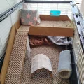 2 floor – Ngàm/kẹp giữ tầng 2 cho lồng guinea pig - Thumbnail 5