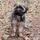 Grimka_2444748