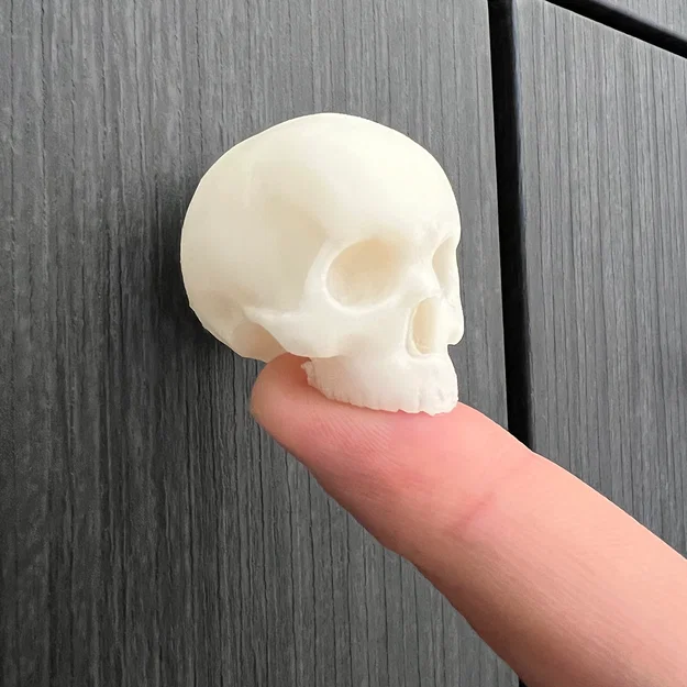 Núm Tủ Sọ Yorick (Yorick Skull Knob) - Image 1