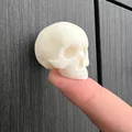 Núm Tủ Sọ Yorick (Yorick Skull Knob) - Thumbnail 1